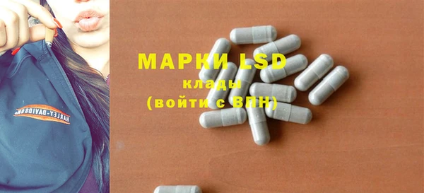 индика Осинники