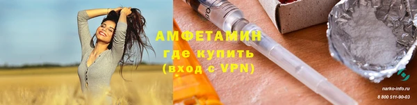 индика Осинники