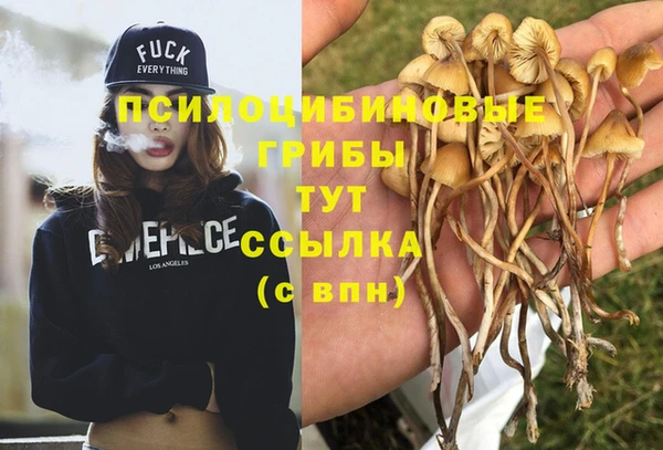 PSILOCYBIN Арсеньев